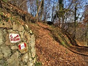 23 Dopo breve salita su stradetta imbocco il sentiero che sale nel bosco